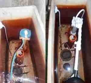Cambio-de-accesorios-de-inodoro-e-instalacion-de-lavatorio